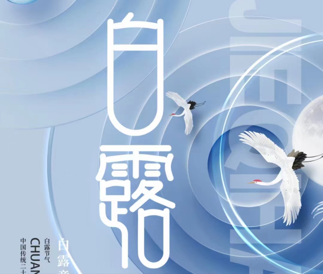 蒹葭苍苍，白露为霜