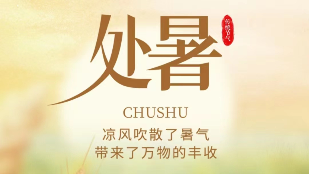处暑知秋，微风徐来