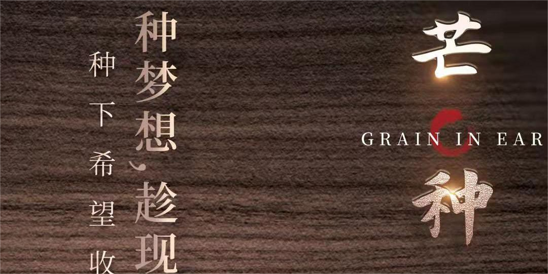 生活不“芒”，慢慢播“种”